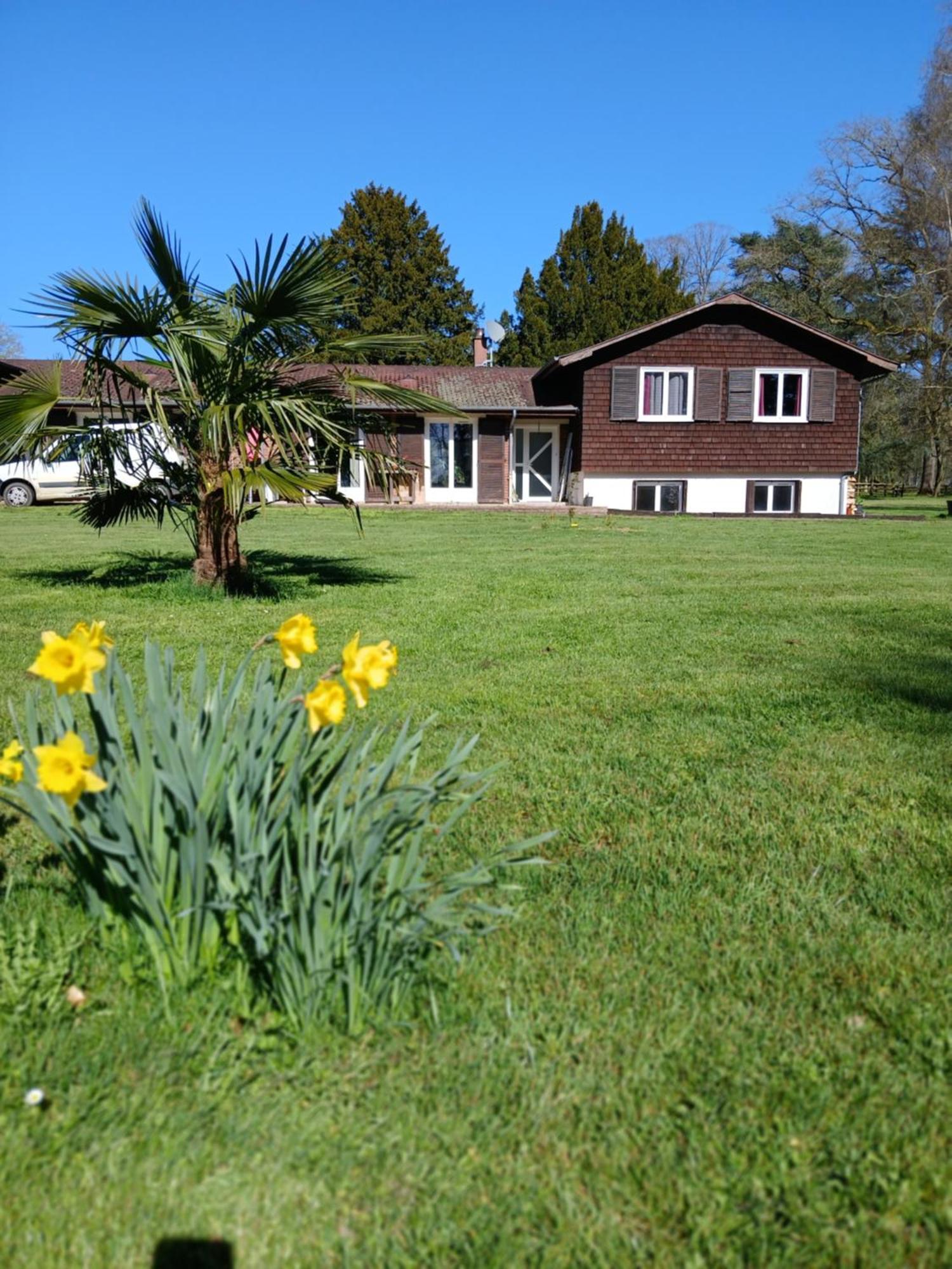 Domaine Des Ifs Bed & Breakfast Le Pin  Exterior photo