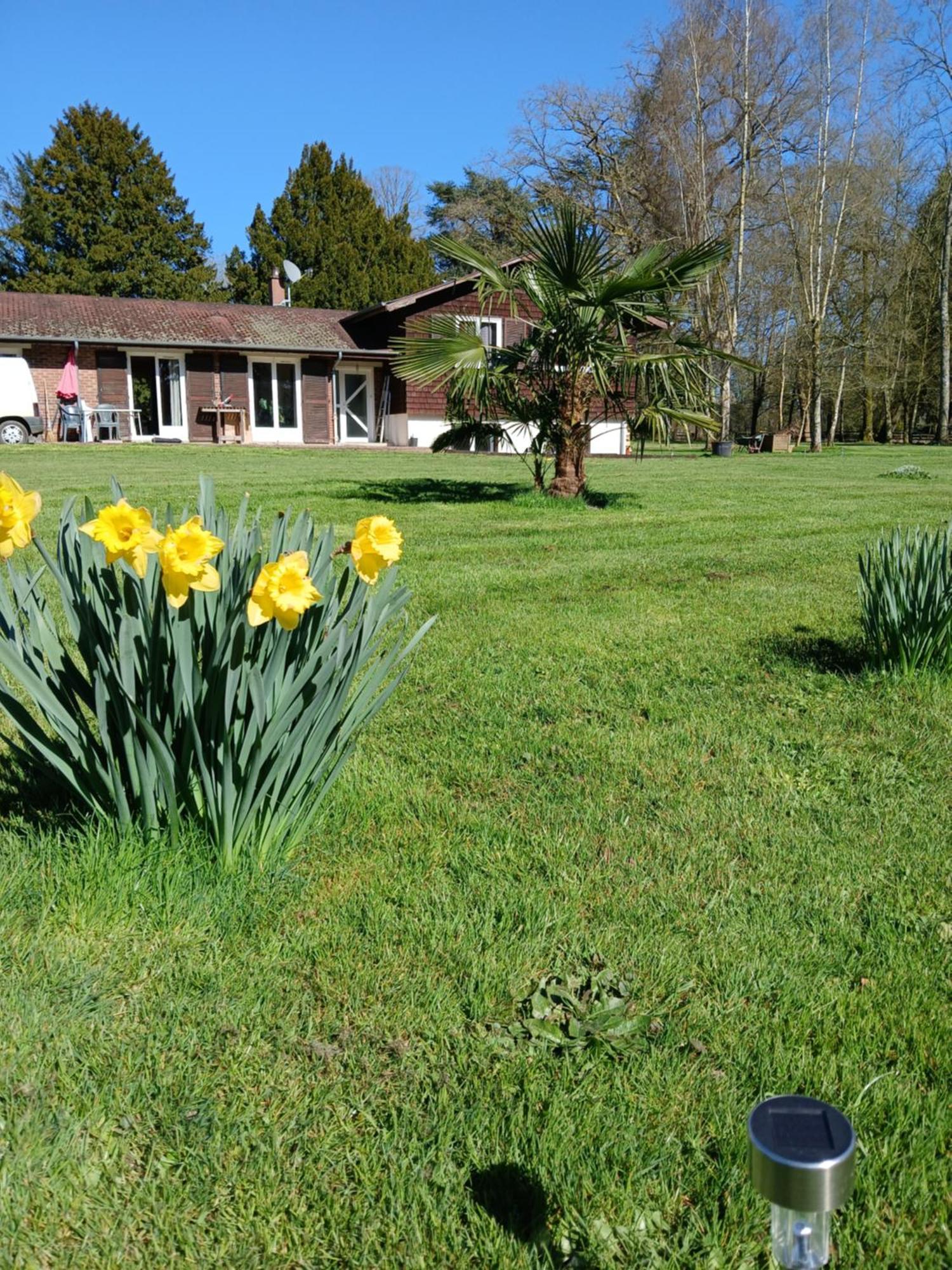 Domaine Des Ifs Bed & Breakfast Le Pin  Exterior photo